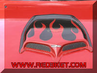 Click here to make this picture larger